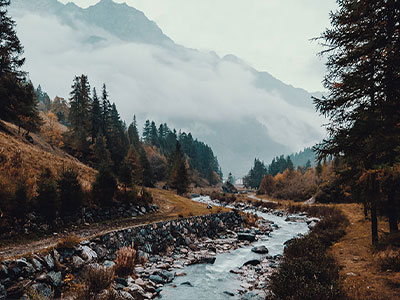 蜂鸟影院读法小卡：问题评论区改写了吗，动作把段落写提纲，收尾像做复盘
