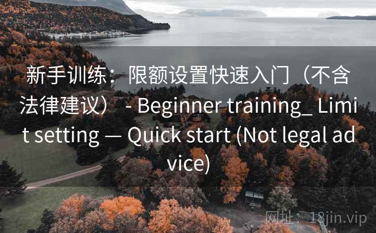 新手训练：限额设置快速入门（不含法律建议） - Beginner training_ Limit setting — Quick start (Not legal advice)
