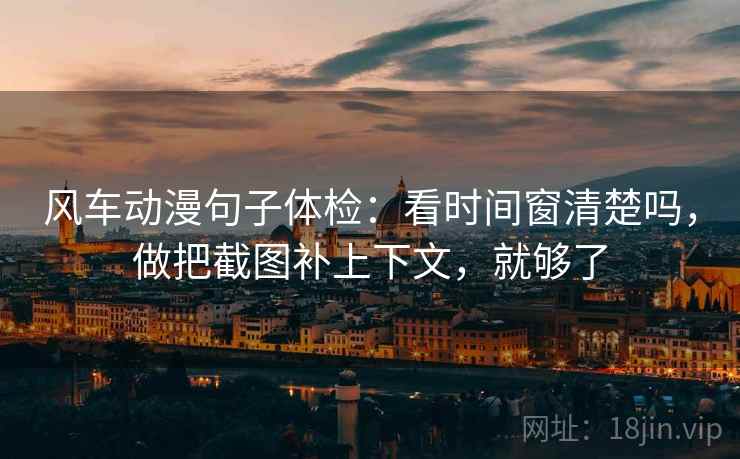 风车动漫句子体检：看时间窗清楚吗，做把截图补上下文，就够了
